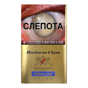 Business Class Compact Silver